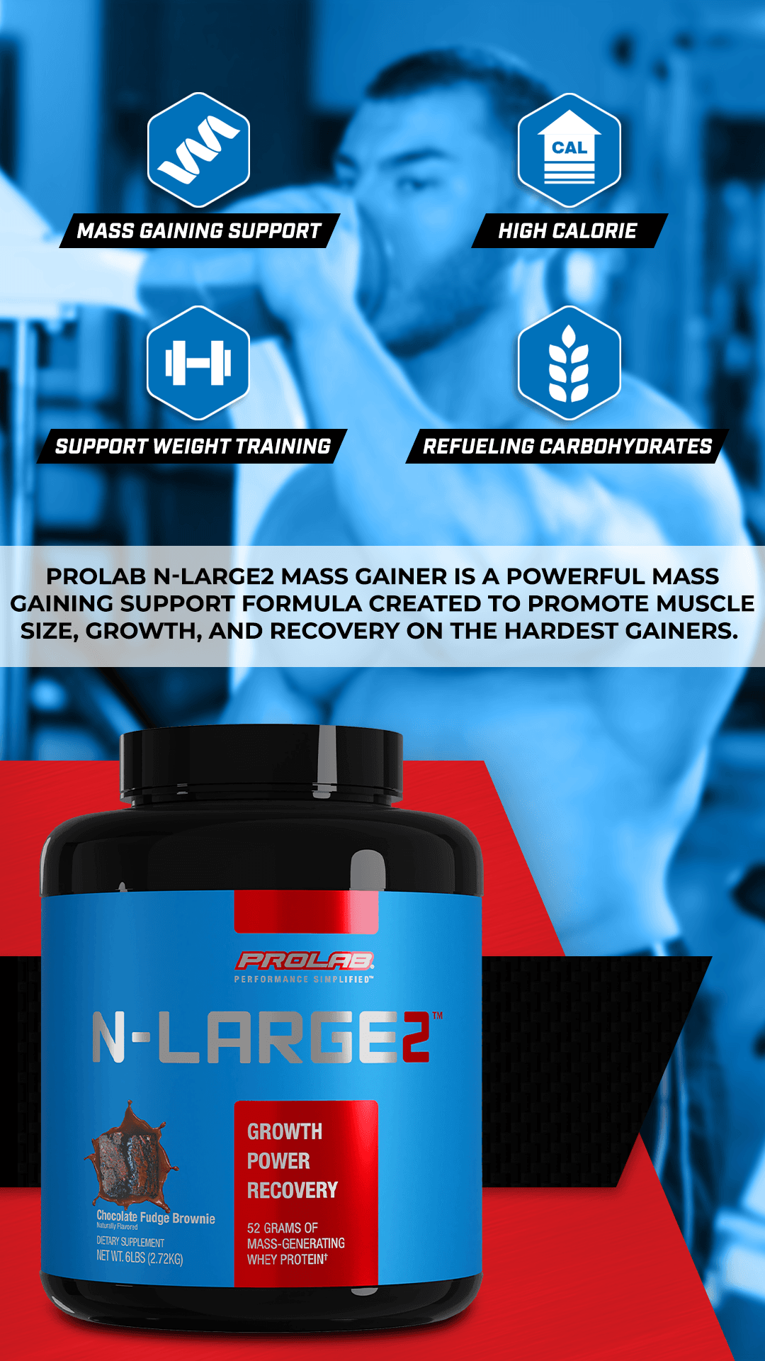 Large, skinny, protein, brownies